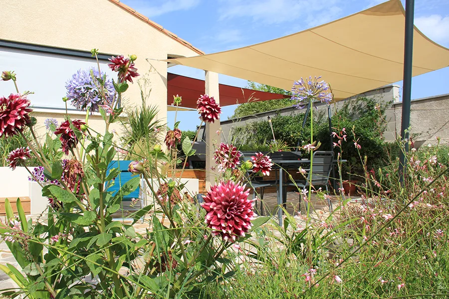 Zone ombragée dans un jardin IMG_0760_2