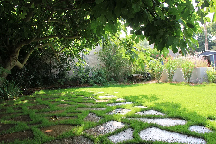 Zone ombragée dans un jardin IMG_0760_2