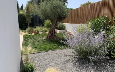 Les alternatives au gazon : une solution durable pour les jardins